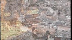 poster-7788-mci-birds-236x132