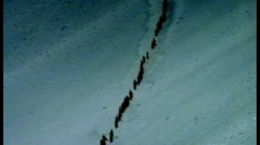 poster-7847-citroen-xsara-coupe-l-esprit-du-grand-lama-236x132