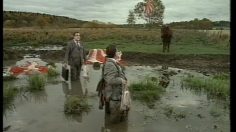 poster-7853-handelsbanken-dans-la-mare-236x132