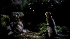 poster-7859-budweiser-furet-236x132