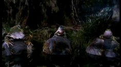 poster-7862-budweiser-biere-crapauds-236x132