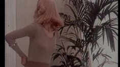 poster-7864-dim-collants-salle-de-bain-236x132