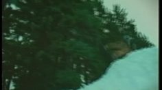 poster-7890-nike-cross-training-avalanche-236x132