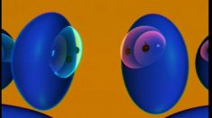 poster-7911-bnp-bnpnet-les-orteils-236x132