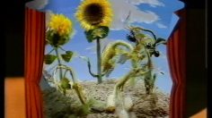 poster-7922-lesieur-equilibre-4-les-tableaux-236x132