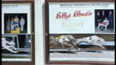 poster-7927-telstra-telstra-com-betty-236x132