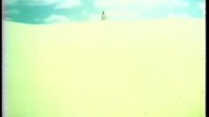 poster-7937-lux-a-la-seve-hydratante-susan-hampshire-236x132