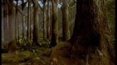 poster-7951-carlsberg-snowman-236x132