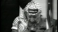 poster-7960-south-african-airways-yawn-236x132