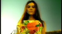 poster-7965-steers-desperado-236x132