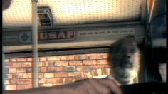 poster-7967-cardies-cartes-de-voeux-sam-236x132