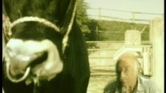 poster-798-hitradio-the-bull-236x132