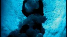 poster-7987-kookai-la-chasse-d-eau-236x132