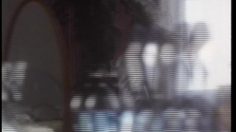 poster-7989-golden-lady-collants-autographe-236x132