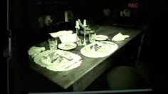 poster-80-sony-handicam-cat-dog-236x132