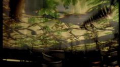 poster-8006-gradiente-bedroom-236x132