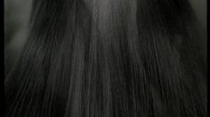 poster-801-sleeky-dog-shampoo-hair-236x132