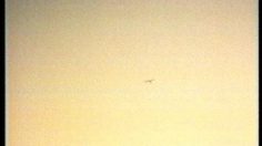 poster-8020-volkswagen-golf-i-don-t-believe-236x132