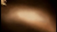 poster-8022-audi-a4-tdi-v6-kiss-236x132