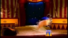 poster-8035-job-danmark-petites-annonces-le-cirque-236x132