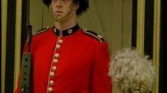 poster-8044-volkswagen-polo-guard-236x132