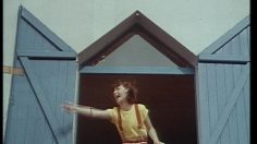 poster-8183-delacre-delice-choc-biscuit-volant-236x132