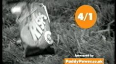 poster-849-paddy-power-bookmaker-chips-236x132