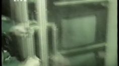 poster-859-bbc-news-24-looting-236x132