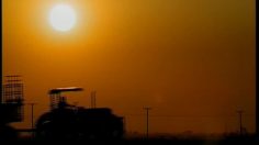 poster-8713-3dfx-all-white-meat-chicken-236x132