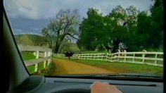 poster-8717-renault-scenic-les-vaches-236x132