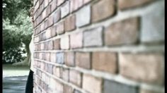 poster-8733-zellers-gloria-vanderbilt-purse-236x132