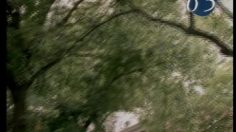 poster-8775-anti-exclusion-aide-aux-sans-abris-new-york-new-york-236x132