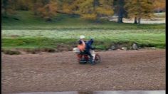 poster-8826-john-west-saumon-l-ours-kung-fu-236x132