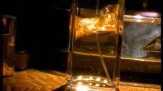 poster-8842-adults-only-channel-baise-sur-la-tele-236x132