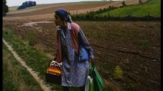 poster-8861-titra-film-sous-titrage-la-hongroise-236x132