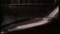 poster-8884-anti-exclusion-assistance-telephonique-beggar-236x132