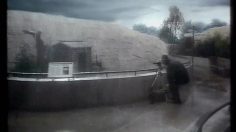 poster-889-kit-kat-les-pandas-236x132