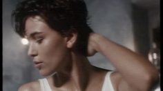 poster-8892-holeproof-le-porc-epic-fourmilier-236x132