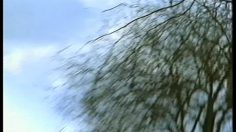 poster-8907-edf-ecologie-l-oiseau-236x132