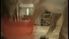 poster-8933-ikea-robot-236x132