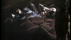 poster-9020-animal-planet-animaux-de-garde-236x132