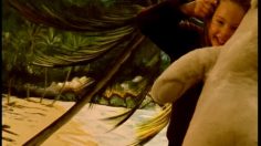 poster-9161-alain-souchon-au-ras-des-paquerettes-au-ras-des-paquerettes-236x132