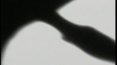 poster-9209-anti-racisme-anti-nazisme-de-hitler-au-skin-head-236x132