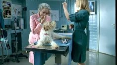 poster-9261-credit-immobilier-de-france-attraction-236x132