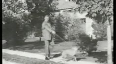 poster-9288-wildroot-creme-coiffante-promener-son-chien-236x132