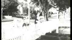 poster-9290-anacin-la-migraine-236x132