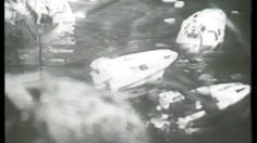 poster-9309-shark-pack-bateaux-236x132