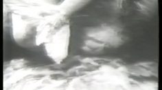 poster-9323-groom-clean-gel-sirene-236x132