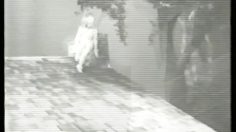 poster-9327-clairol-picture-perfect-catwoman-236x132