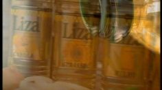 poster-9349-liza-25-anos-macarena-236x132